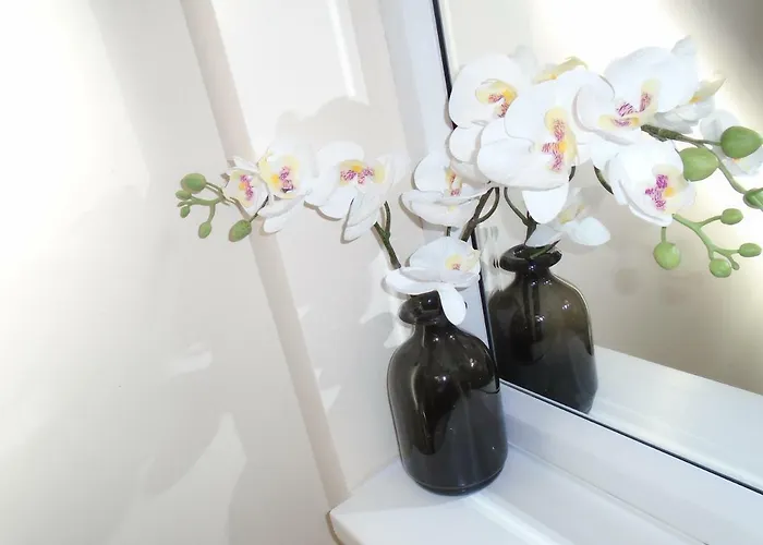 Abbey Guest house 3*